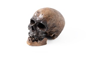 Image description is not available for 2018.2.3